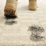 Residential Carpet Care Tips