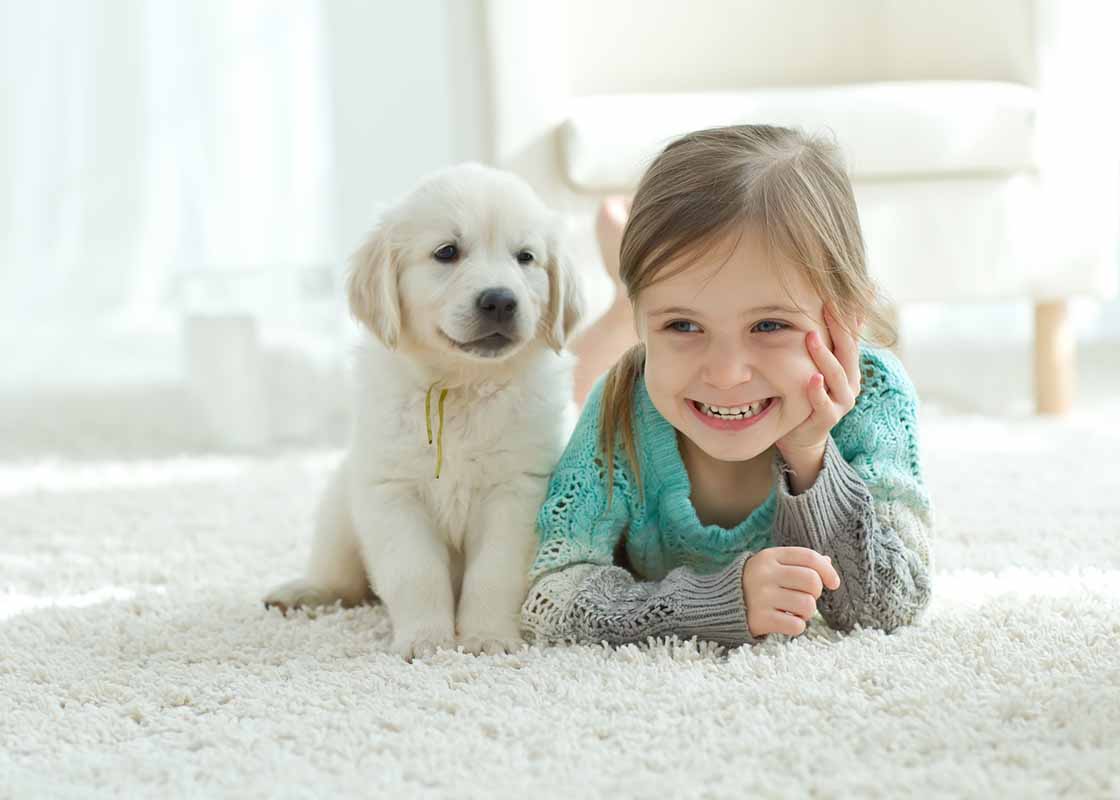 coast carpet cleaning for kids and dogs